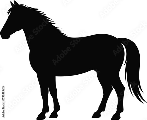 Standing horse vector illustration wild animal silhouette black color