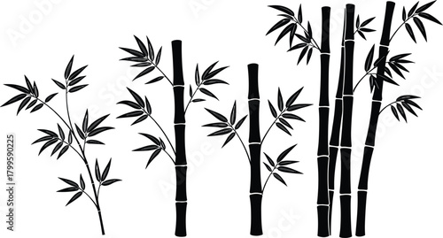 Collection of detailed bamboo plant silhouettes with leaves, decorative bamboo stems, nature foliage elements, Asian botanical illustration set