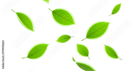 Vibrant green leaves with crisp white outlines float gracefully against a pure white background, embodying freshness, growth, and the light essence of nature