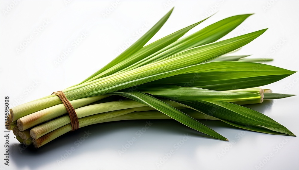 Fototapeta premium Fresh Green Lemon Grass