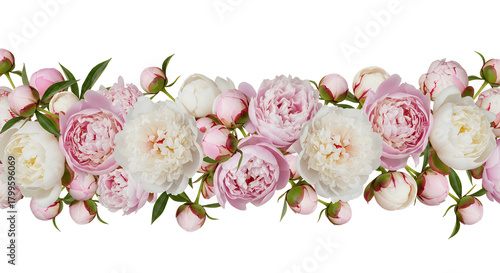 Elegant seamless border of delicate pink and white peony flowers and buds, perfect for spring designs, wedding invitations, or decorative floral arrangements on a pure white background