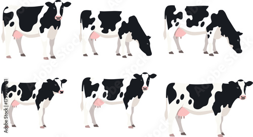 Collection of dairy cow illustrations in various poses, farm livestock graphics featuring Holstein cows grazing, standing, and feeding for agricultural design