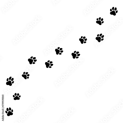 Paw print of dog isolated on white background.