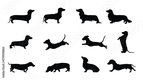 Dachshund Dog silhouettes collection
