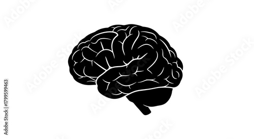 Striking black and white stylized human brain silhouette representing intelligence, learning, and cognitive functions for conceptual projects