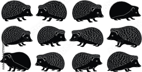 Collection of hedgehog silhouettes in various poses, detailed wildlife illustration set for nature themes, forest animals, education, artwork, and design projects