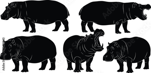 Collection of hippopotamus silhouettes showing different poses, standing and yawning hippos, wildlife animal illustrations for educational, zoological, and graphic design purposes