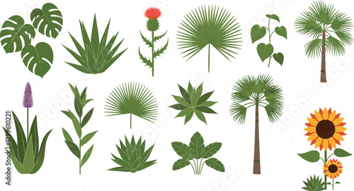 “Collection of botanical plant illustrations including tropical leaves succulents flowers palm trees nature foliage elements for gardening design natural decoration and eco artwork”