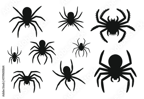 Spider silhouette vector collection of icons