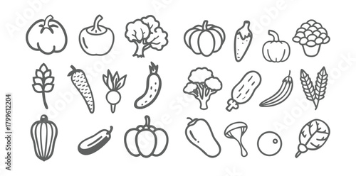 Vegetable Icons Set | Minimal Black Line Food Vector | Organic Veggies Outline Pack