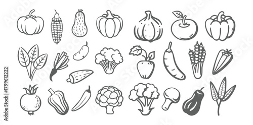 Vegetable Icons Set | Minimal Black Line Food Vector | Organic Veggies Outline Pack