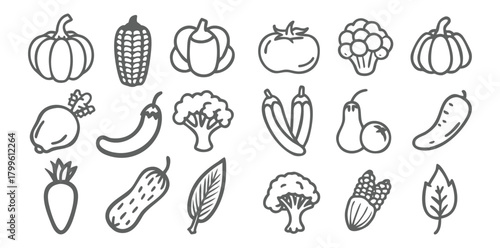 Vegetable Icons Set | Minimal Black Line Food Vector | Organic Veggies Outline Pack