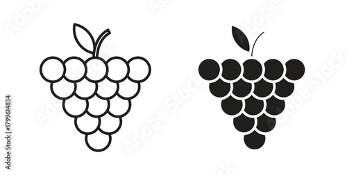 Grapes icon Isolated flat vector in outline collection on white background