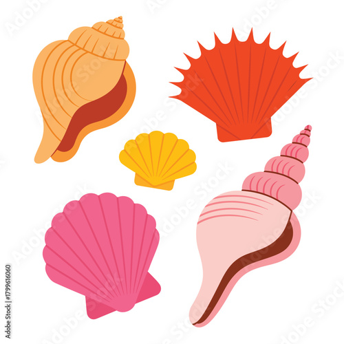 Collection of colorful seashells and conch shells on a white background