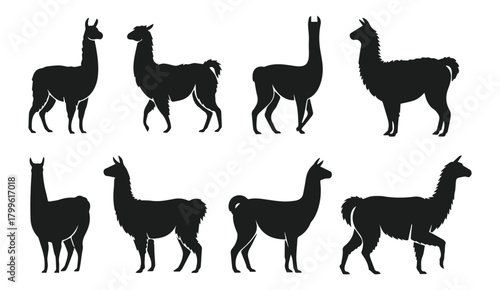 Llama silhouette vector collection of poses