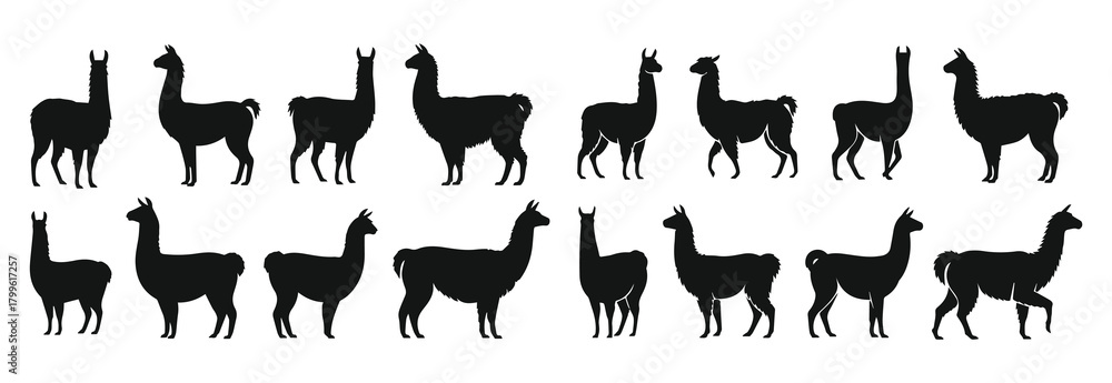 Fototapeta premium Llama silhouette vector collection of poses