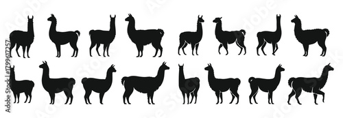Llama silhouette vector collection of poses