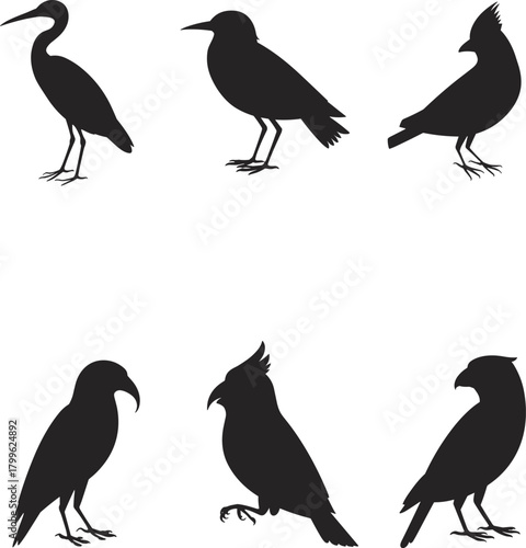 Bird silhouettes, flying birds, perched birds, avian shapes, black silhouettes, wildlife icons, birdwatching, nature symbols, feathered creatures, winged animals, beak styles,