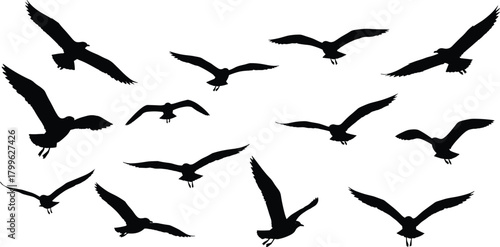 Flying bird silhouettes in open sky, flock of birds in motion, wildlife freedom concept, migration and nature vector illustration design for travel
