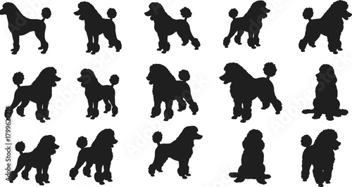 Poodle dog silhouette set vector illustration, stylish domestic pet design, elegant grooming artwork for decoration, fashion, logo, poster, and creative branding