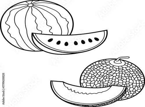 Black and white line art  white, vector.Black and white line art illustration of whole and sliced melons, fresh watermelon and canta