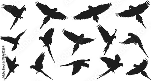 Set of flying parrot silhouette vector illustrations, tropical bird collection in various flight poses, wildlife animal design concept, exotic nature graphic art