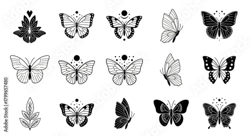 Elegant butterfly and botanical designs for tattoos, logos, or branding showcasing delicate beauty and nature inspired themes, originally created as scalable graphics