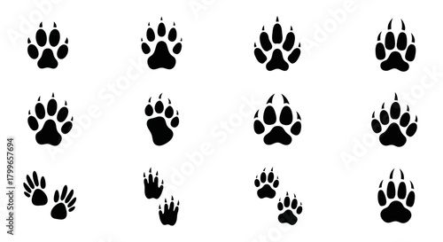 Diverse animal paw print icons capturing the essence of wildlife exploration and tracking for adventurous projects