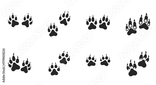 Discover wild animal paw prints, perfect for nature projects and wilderness themes, adding an authentic outdoor touch to your designs.