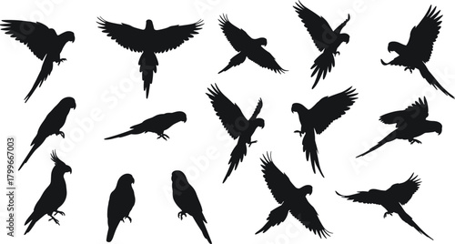 Set of parrot silhouette vector illustrations, tropical bird collection in flight and perched positions, exotic wildlife animal design, nature graphic art