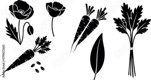 Carrot and parsley silhouette vector set with leaf and flower elements for natural design and organic food themes