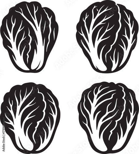 Stylized black and white vector illustration of four fresh lettuce or cabbage heads, perfect for healthy eating designs and vegan menus. isolated on white background, Vector, illustration