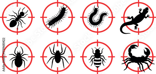 Pest control vector illustration with ants spiders centipedes lizards and crabs targeted in red crosshairs for extermination
