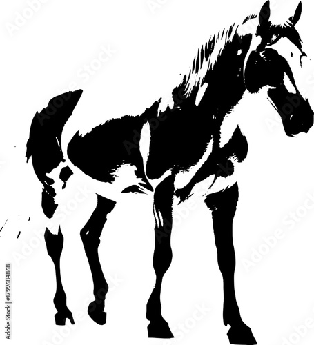 A dynamic black silhouette of a horse  exuding grace and strength against a clean white backdrop