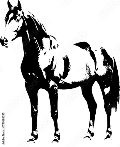 A dynamic black silhouette of a horse  exuding grace and strength against a clean white backdrop