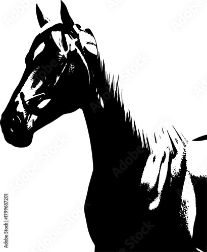 A dynamic black silhouette of a horse  exuding grace and strength against a clean white backdrop
