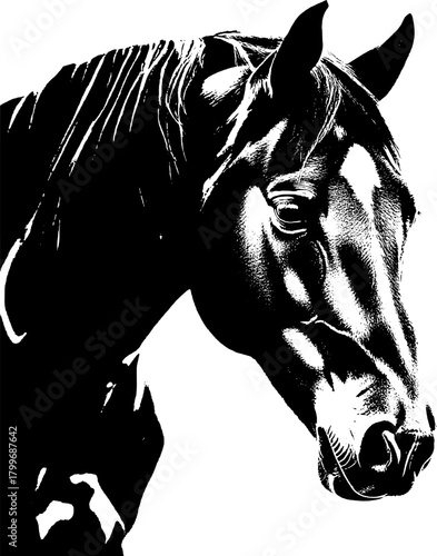 A dynamic black silhouette of a horse  exuding grace and strength against a clean white backdrop