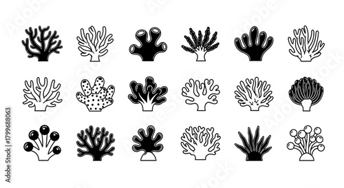 Dive into Design with These Unique Coral Illustrations, Perfect for Ocean-Themed Projects and Marine Biology Presentations, Originally a Scalable Vector Graphic