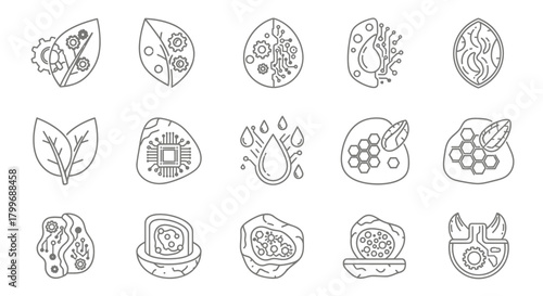 Innovative organic icons blend nature's essence with cutting edge technology for modern science and industry concepts