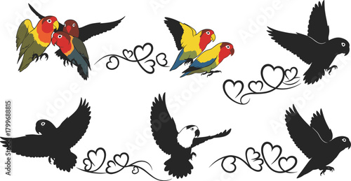 Colorful and silhouette lovebirds with decorative heart swirls parrot flying