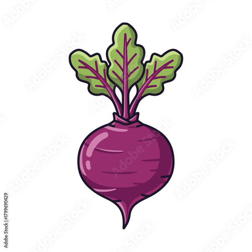 Vibrant cartoon illustration of a fresh beetroot with green leaves. An isolated vector icon of a healthy, organic root vegetable on a white background