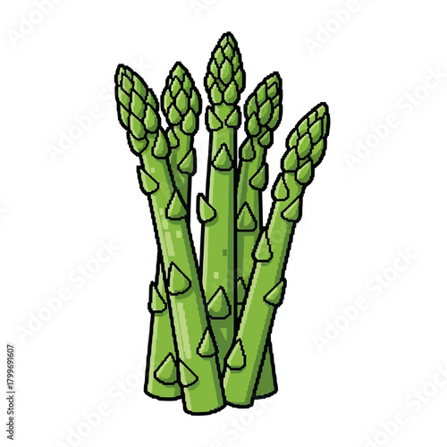 A Bunch of Fresh Green Asparagus Spears with Detailed Buds Ready for Culinary Use