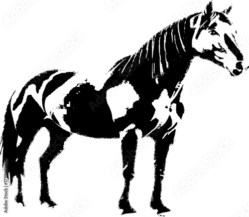 A dynamic black silhouette of a horse  exuding grace and strength against a clean white backdrop