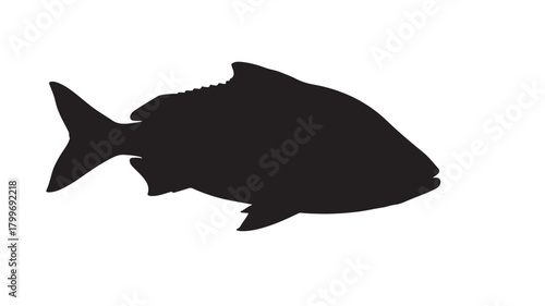 Elegant black fish silhouette glowing with vibrant red light, a dynamic aquatic design element for branding, website design, or artistic ocean-themed projects