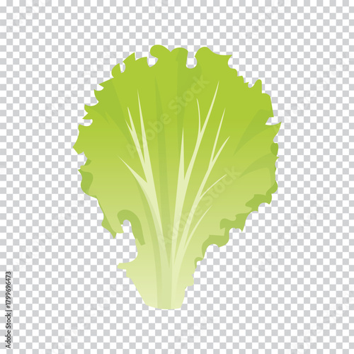 Detailed vibrant green lettuce leaf with intricate vein patterns isolated on a transparent background for diverse design applications
