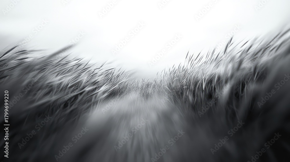 Naklejka premium Tall grass swaying in wind with motion blur