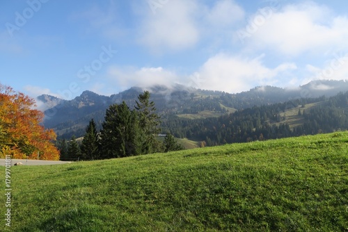 Es ist eine sonniger Herbsttag in Oberstaufen auf der Nagelfluhkette. Hinter der Wiese ist die Hochgratkette der  Allgäuer Alpen zu sehen. Ein Laubbaum sieht schon herbstlich aus.