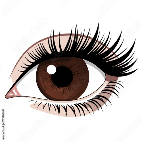 Close-up vector illustration of a beautiful brown human eye with long dramatic eyelashes, representing vision and beauty