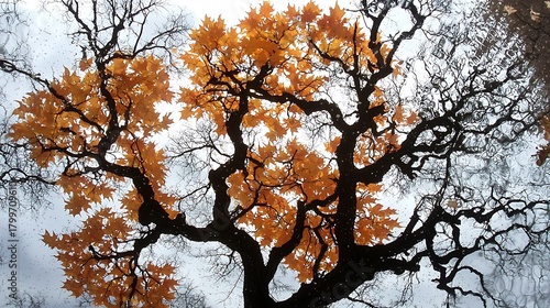 Autumn warm background with golden leaves scattered and tree shadows softly reflected