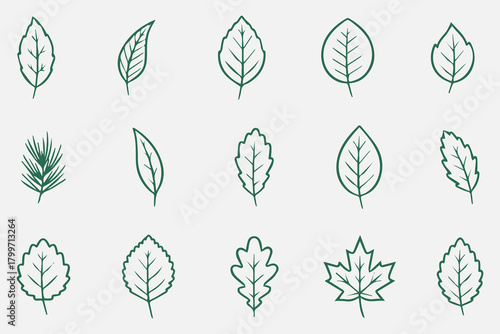 set of linear green leaf icons on white
